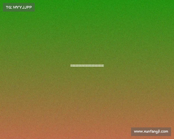 西甲各大球场容量排行榜：哪些球场能容纳最多球迷