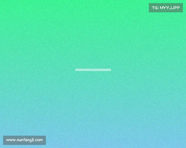 赛季回顾与展望：全面解析各队表现与未来发展趋势